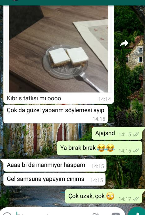 yazarlara whatsapp tan gelen son mesaj 1503381 uludağ sözlük galeri