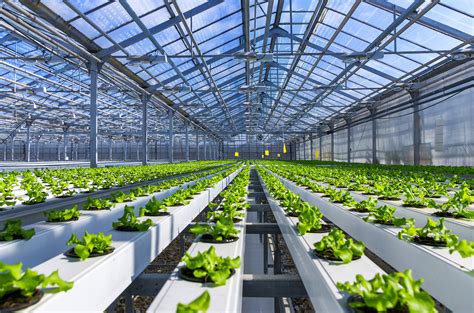 Film Studio Hydroponic Lab Are Among 37 Million In Improvements For