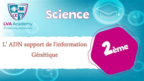 Science L Adn Support De L Information G N Tique Me Ann E Youtube