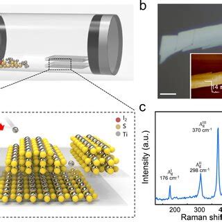 Synthesis And Materials Characterization Of Tis Nanosheets A