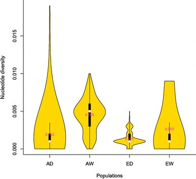 The Violin Plot Of Four Populations By Pair Wise Nucleotide Diversity