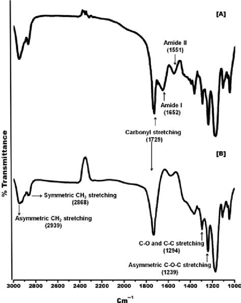 Ft Ir Spectra Of A Pcl Gelatin And B Pcl Nanofibers Download