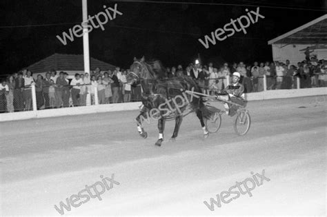 Mount Eden Special Trial At Gloucester Park Westpix