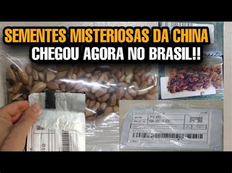 Sementes Misteriosas Da China Chegaram Tamb M No Brasil Youtube