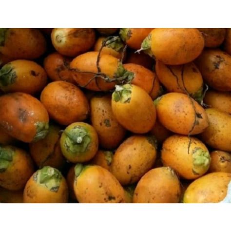 Jual Buah Pinang Buah Jambe Tua Hijau Keemasan Tergantung Stok Yg