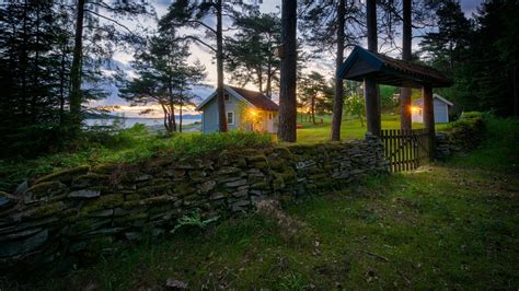 Wallpaper X Px Clouds Evening Ferns Field Forest Grass