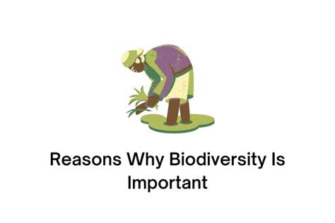 10 Reasons Why Biodiversity Is Important