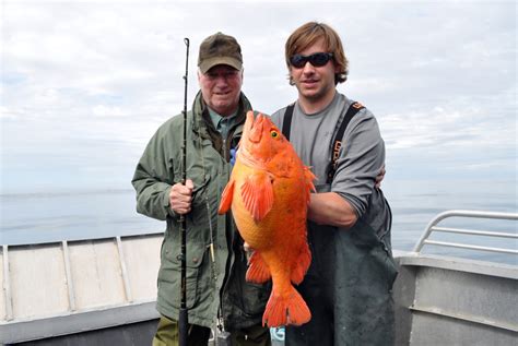 Yelloweye Rockfish – The Granddaddy of the Deep