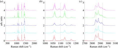 Raman Spectra Of Five Selected Saturated Fatty Acids Ranging In Chain