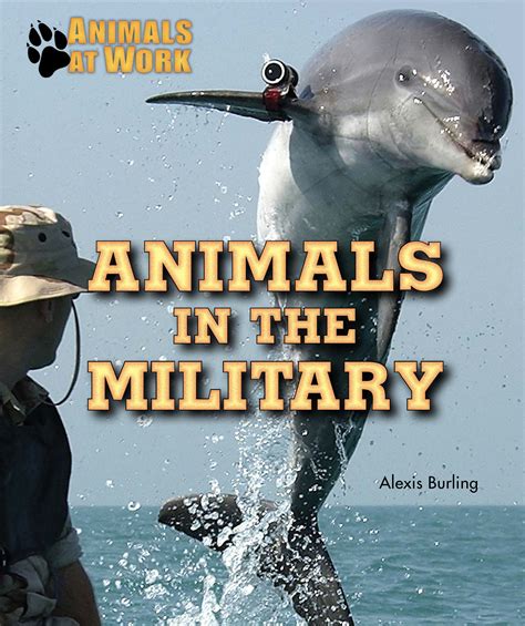 Animals In The Military