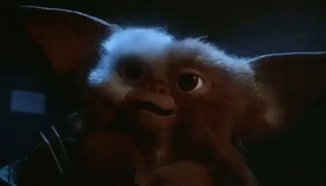 Gizmo Happy GIF - Gizmo Happy Gremlins - Discover & Share GIFs