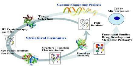 Structural Genomics - Assignment Point