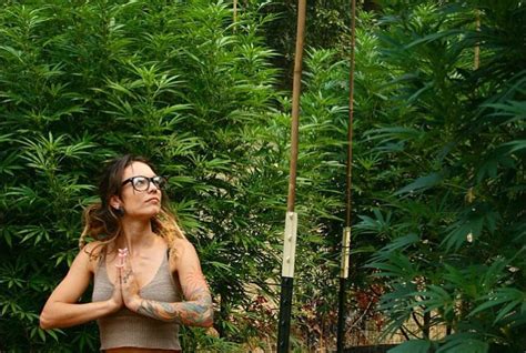 Cannabis Y Yoga The Cut Bcn