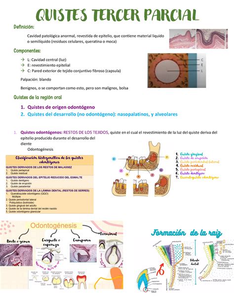 Patolog A Tercer Parcial Patolog A Oral I Uanl Studocu