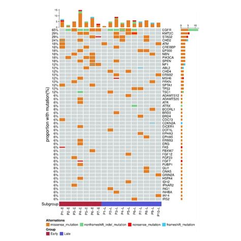 Mutational Profiles Of Early And Late Stage LUAD Top 50 Genes With