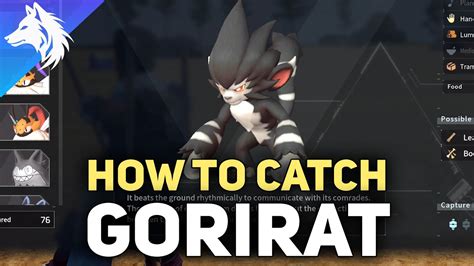 Where To Catch Gorirat Location Stats Habitat Palworld Youtube