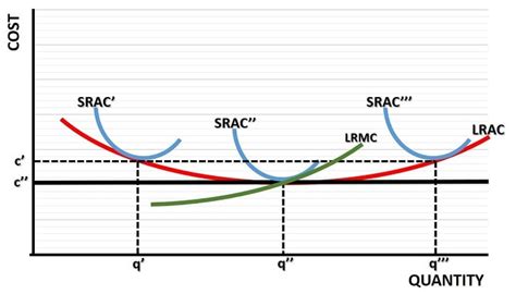 The Short Run Long Run Average Cost Curve SRAC LRAC