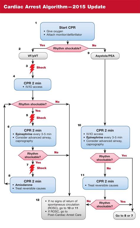 Pin By Lara On Acls Acls Pharmacology Nursing Nursing School Tips