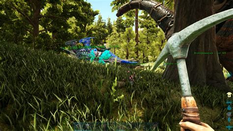 Valguero Ark Survival Evolved Amino