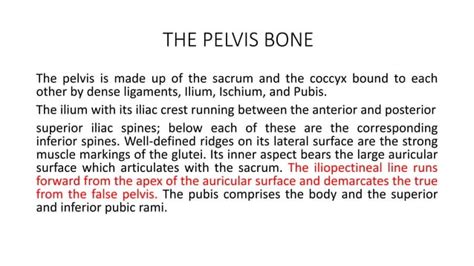 Applied And Clinical Anatomy Of Lower Limb