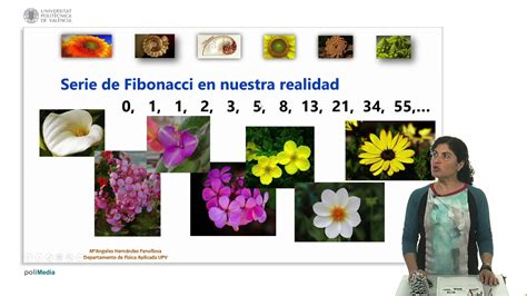 La Serie De Fibonacci Upv Youtube