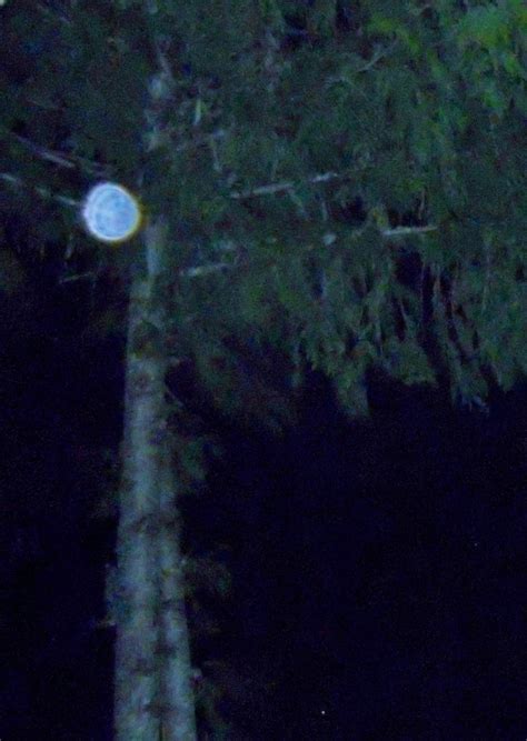 Mystical World Of Spirit Orb Photography Mystical World Ghost Orbs