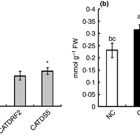 Gene Expression Analysis Of Prx Gene And Detection Of H 2 O 2