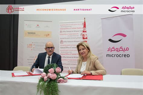 Microcred Et Lonat Ensemble Au Service Des Artisans En Tunisie