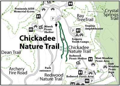 Huddart Park, Chickadee and Redwood Nature Trails - Lonely Hiker