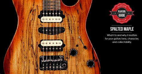 Spalted Maple Guitars What Is Spalted Maple Why Does It Matter Distinctiveguitar