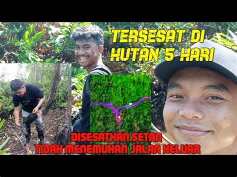 PELAN PELAN PAK SUPIR KAMI TERSESAT 5 HARI DI HUTAN TIDAK MENEMUKAN