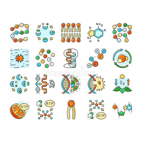 íconos De La Ciencia De La Química De La Biotecnología Conjunto Vector Ilustración Del Vector