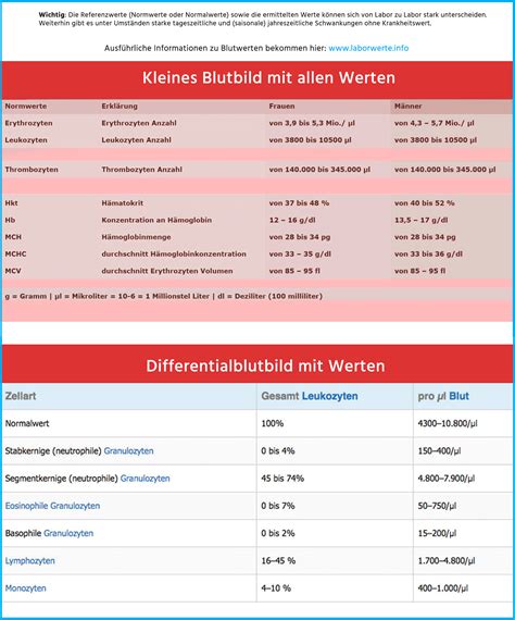 Großes Blutbild Erklärung Und Bedeutung Der Werte