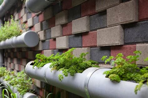 11 Innovative Vertical Garden Ideas For Small And Large Spaces