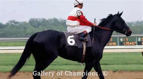 Remembering Ruffian Queen Of The Fillies Slo Horse News