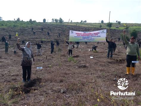 Perhutani Perhutani Bersama DPD Sekar Perhutani Adakan Penanaman