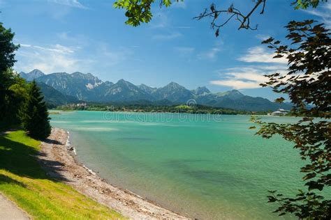 Lake Forggensee Near The City Waltenhofen Stock Photo Image Of Meadow