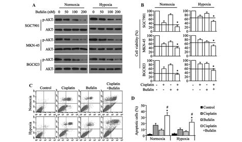 Bufalin Reverses Intrinsic And Acquired Drug Resistance To Cisplatin