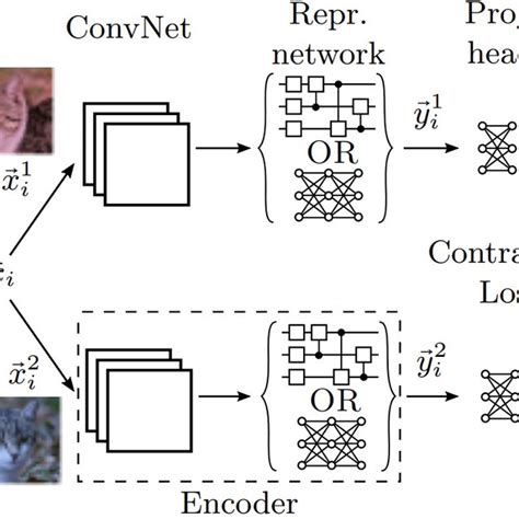 Classification accuracy achieved in linear probing experiments by ...