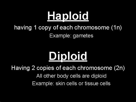 Meiosis Lets Talk About Sex Scientifically Speaking Of