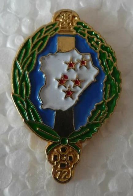 PIN S MILITAIRE DU 39 Groupement De Camp 72 Regiment D Artillerie EUR 5