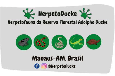 C Vis Plataforma De Ci Ncia Cidad Herpetoducke