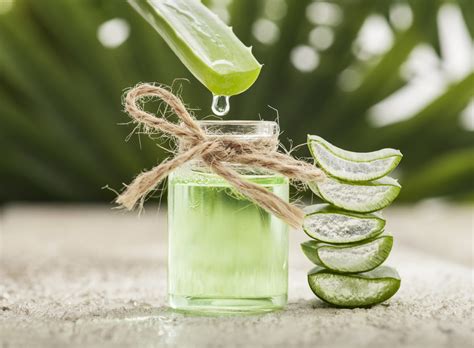 aloe vera proprietà benefici e consigli d uso Melarossa