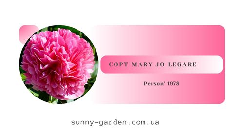 Сорт MARY JO LEGARE Person 1978 YouTube