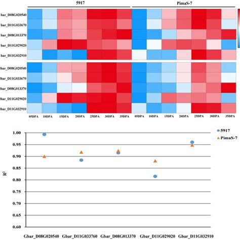 Confirm Of Expression Level Of Degs By Qrt Pcr A The Heat Map Of