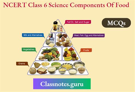 NCERT Class 6 Science Chapter 1 Components Of Food Multiple Choice