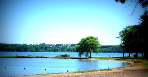 The Curious Lark: Branched Oak Lake