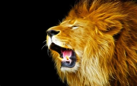 Lion Wallpapers - Wallpaper Cave