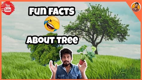 Top 10 🔝fun 😃fact About Plant🌳 And Trees🏝️ Full Fun With Facts Vanga