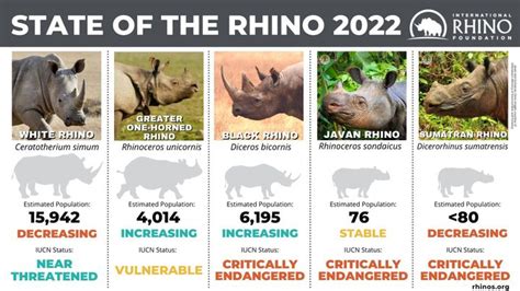 World Rhino Day: Nepal flaunts its 750-plus wild rhinos - Diwash ...